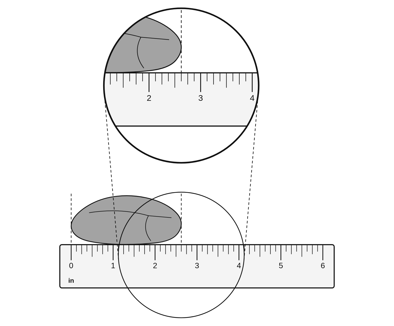 A 6 inch ruler marked in eighths of an inch with a rock lying along it from 0 to 2 5/8 inches, with dashed lines down from its ends